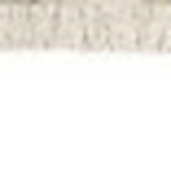 Beige Gray And Brown Striped Area Rug With Fringe Photo 6