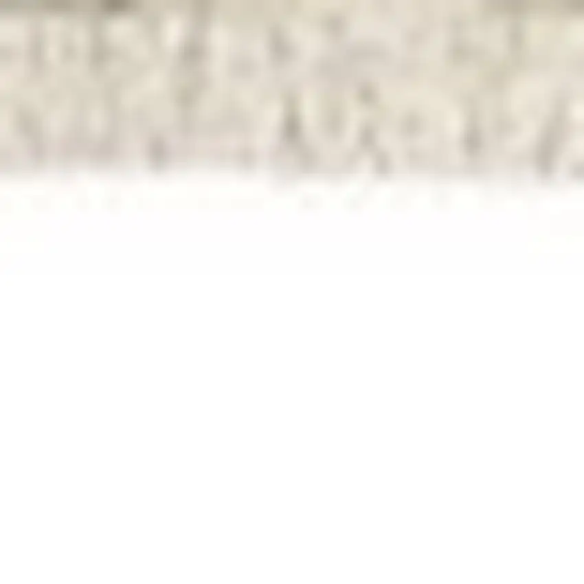 Beige Gray And Brown Striped Area Rug With Fringe Photo 6