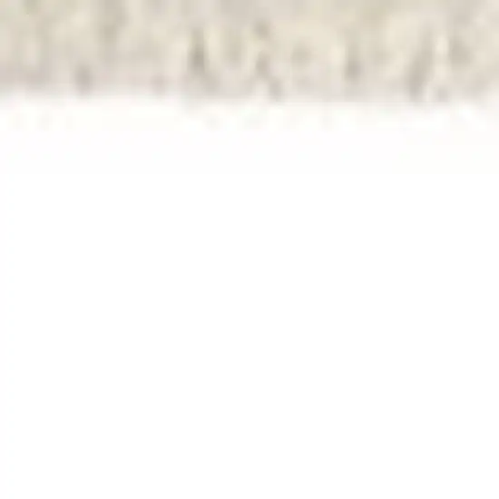 Beige Gray And Brown Striped Area Rug With Fringe Photo 6