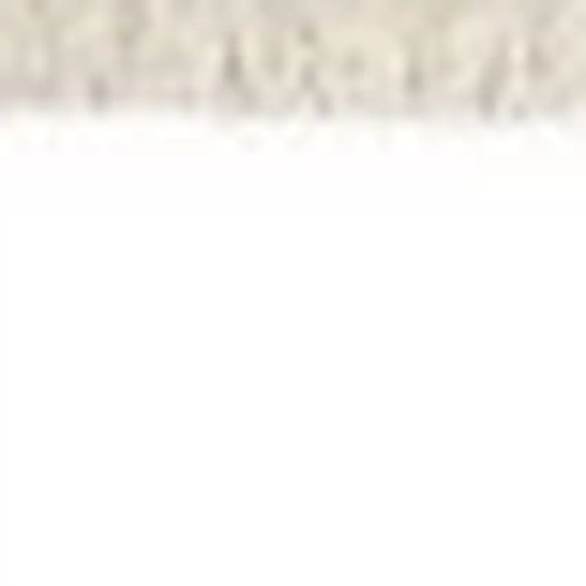 Beige Gray And Brown Striped Area Rug With Fringe Photo 6