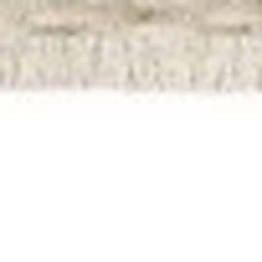 Beige Gray And Brown Striped Area Rug With Fringe Photo 7