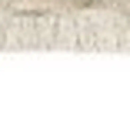 Beige Gray And Brown Striped Area Rug With Fringe Photo 6