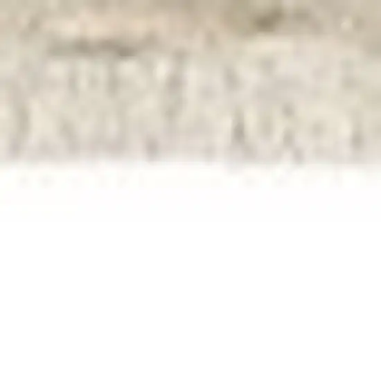 Beige Gray And Brown Striped Area Rug With Fringe Photo 6