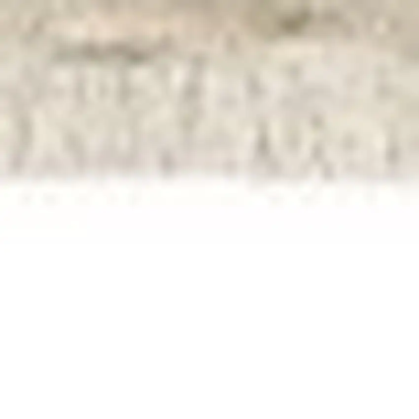 Beige Gray And Brown Striped Area Rug With Fringe Photo 6