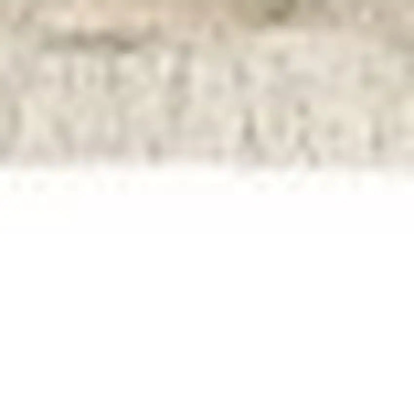 Beige Gray And Brown Striped Area Rug With Fringe Photo 6