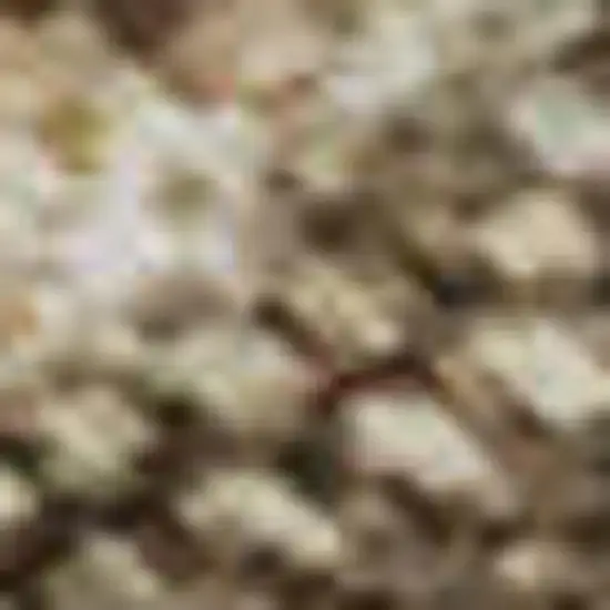 Beige Gray And Khaki Abstract Washable Area Rug With UV Protection Photo 1