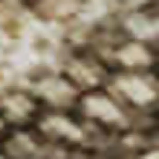 Beige Gray And Khaki Abstract Washable Area Rug With UV Protection Photo 1