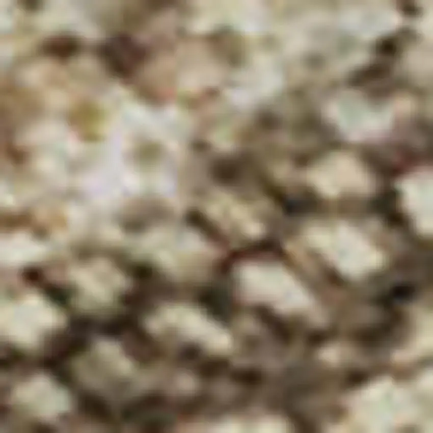 Beige Gray And Khaki Abstract Washable Area Rug With UV Protection Photo 3