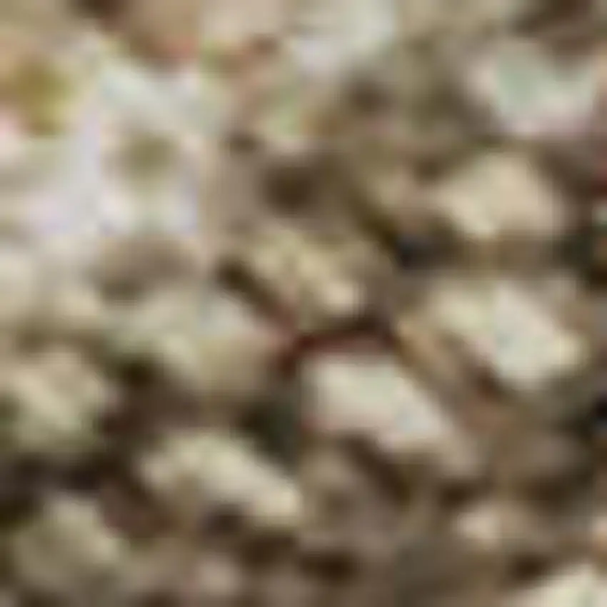 Beige Gray And Khaki Abstract Washable Area Rug With UV Protection Photo 1