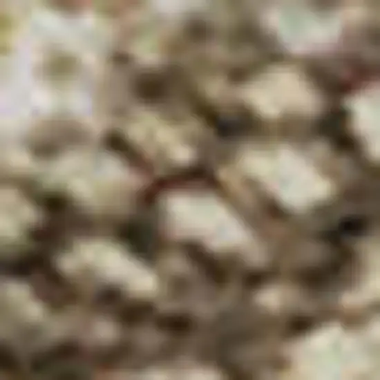 Beige Gray And Khaki Abstract Washable Area Rug With UV Protection Photo 1