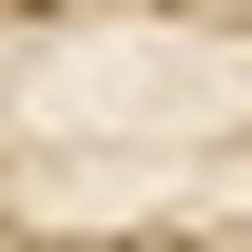 Beige Hand Woven Area Rug Photo 4