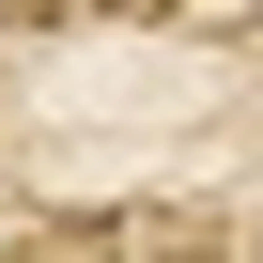 Beige Hand Woven Area Rug Photo 5