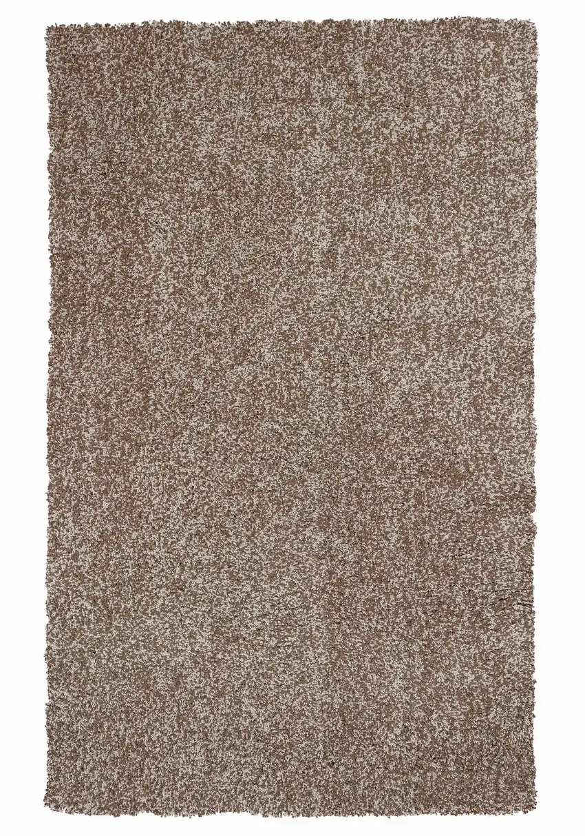 Beige Heather Indoor Shag Rug Photo 1