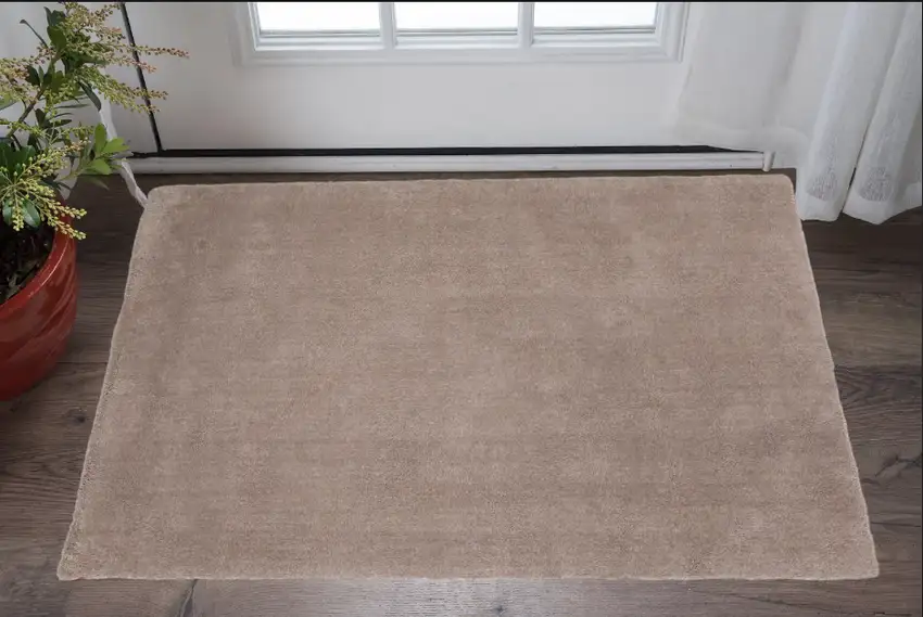 2'X4' Beige Indoor Shag Rug Photo 1