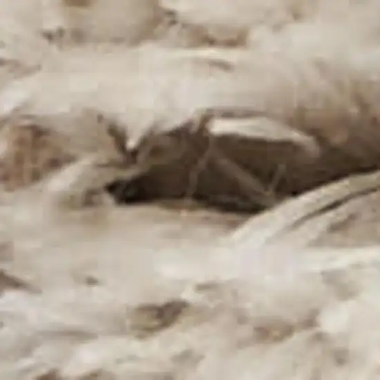 Beige Ivory and Gray Abstract Shag Area Rug Photo 4