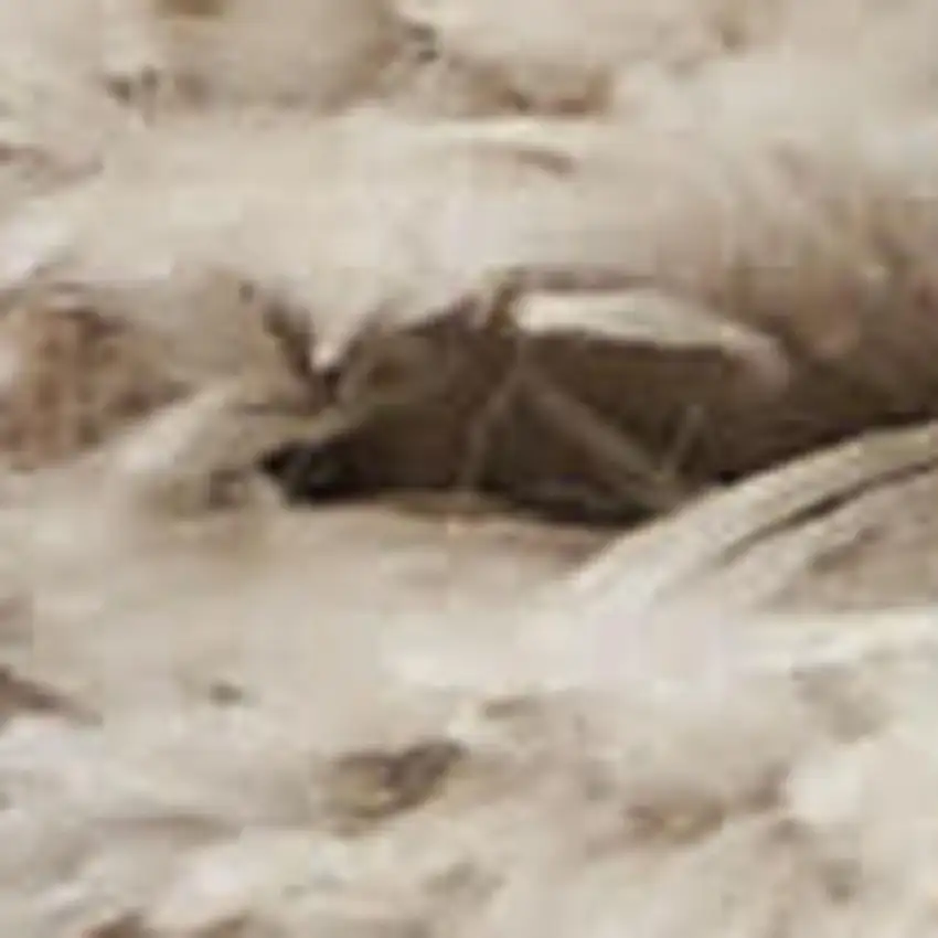 Beige Ivory and Gray Abstract Shag Area Rug Photo 4