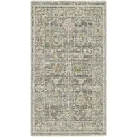 Photo of Beige Ivory and Gray Oriental Power Loom Distressed Area Rug With Fringe