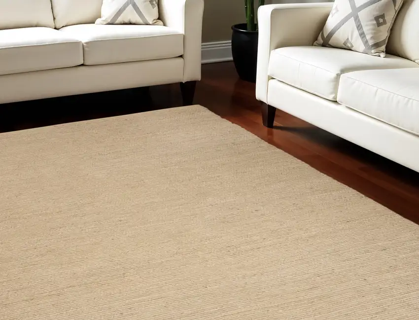 Beige Jute Hand Woven Area Rug Photo 1