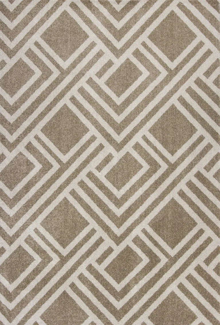 Beige Machine Woven UV Treated Geometric Indoor Outdoor Area Rug Photo 3