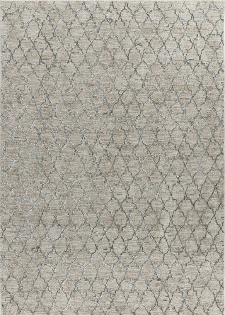 Beige Moroccan Stain Resistant Area Rug Photo 4