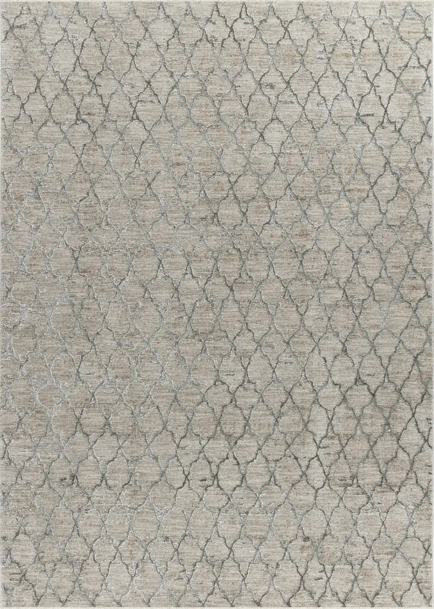 Beige Moroccan Stain Resistant Area Rug Photo 6