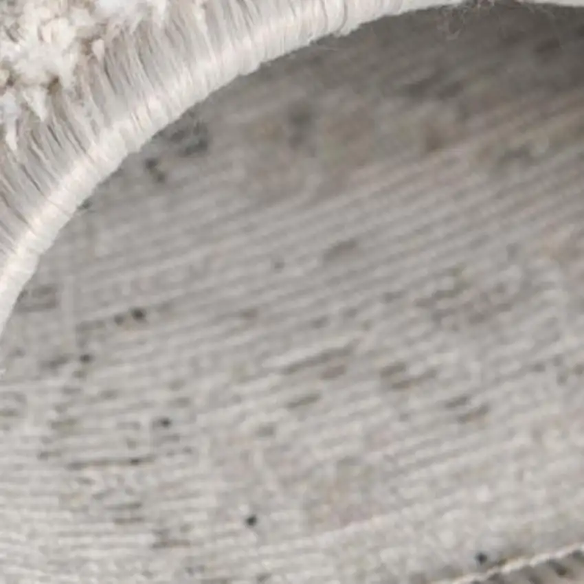 Beige Oriental Area Rug Photo 9