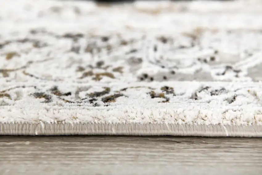 Beige Oriental Area Rug Photo 1