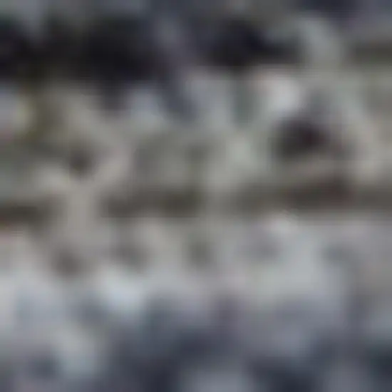 Beige Oriental Power Loom Distressed Area Rug Photo 4