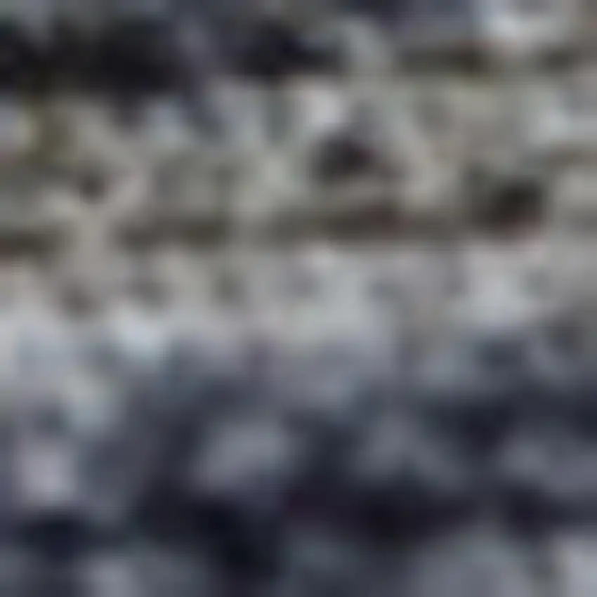 Beige Oriental Power Loom Distressed Area Rug Photo 3