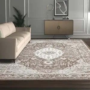 Photo of Beige Oriental Power Loom Distressed Stain Resistant Area Rug