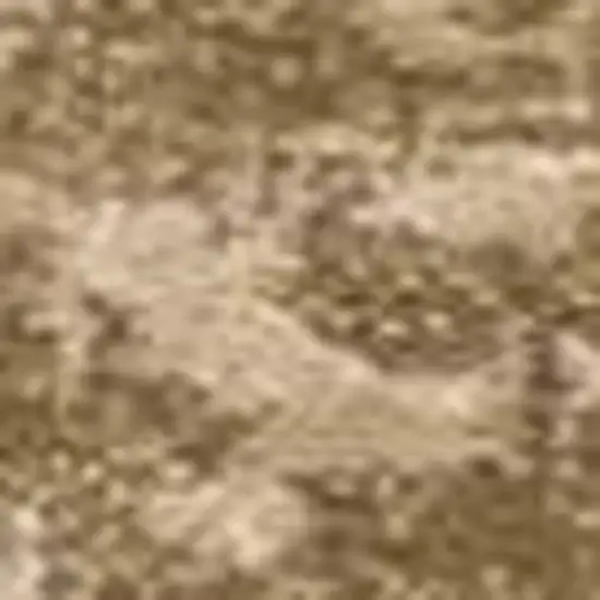 Beige And Tan Floral Medallion Area Rug Photo 3