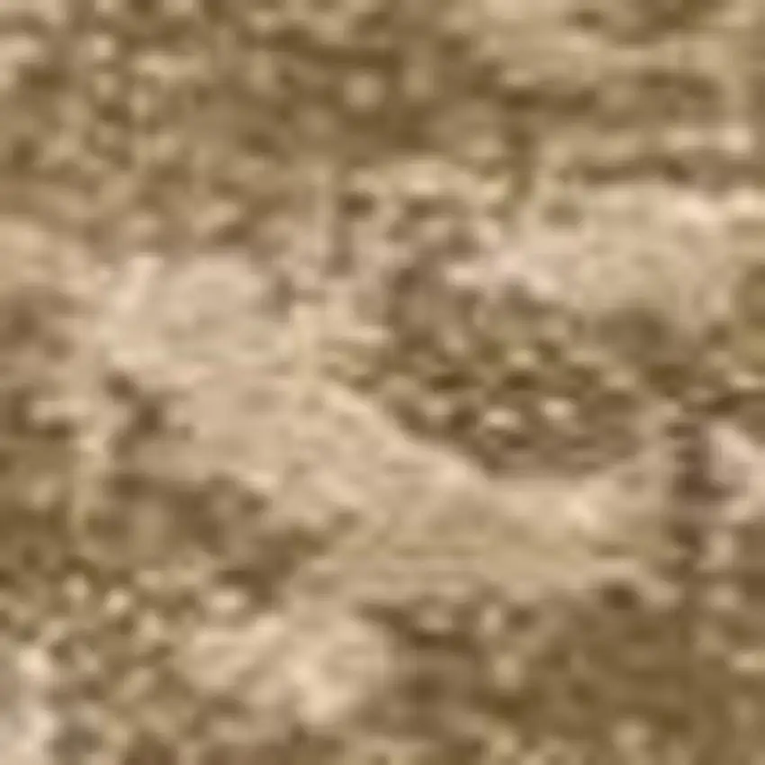 Beige And Tan Floral Medallion Area Rug Photo 3