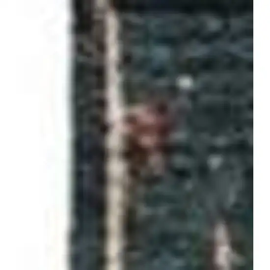 Beige Red And Yellow Striped Washable Indoor Outdoor Area Rug Photo 3