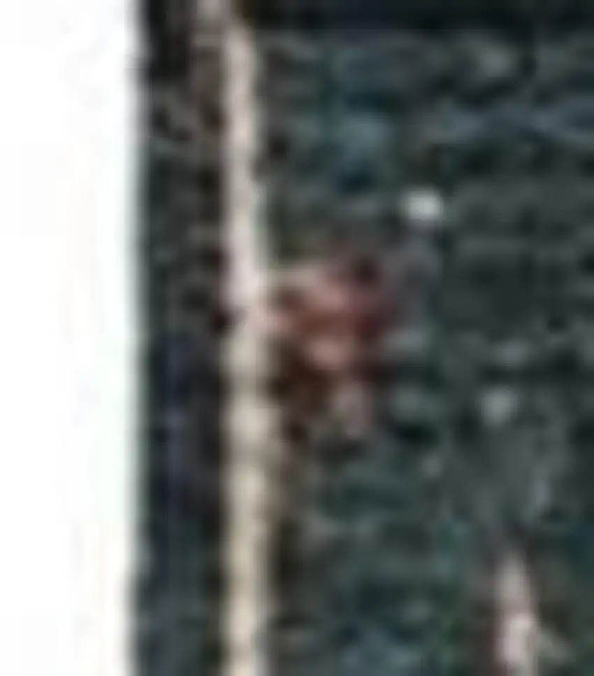 Beige Red And Yellow Striped Washable Indoor Outdoor Area Rug Photo 3