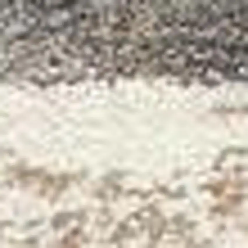 Beige Striped Dhurrie Area Rug Photo 3