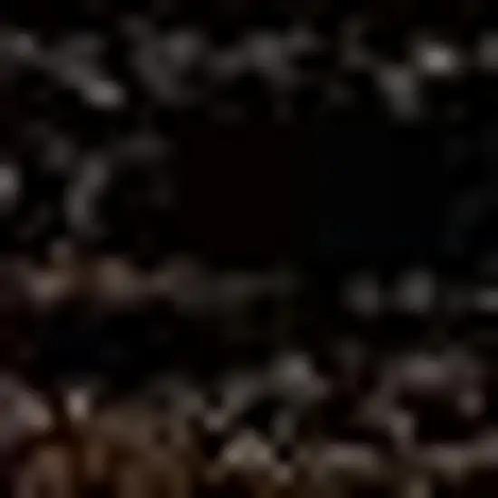 15' Beige Striped Dhurrie Runner Rug Photo 5