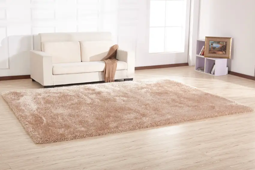 Beige Shag Hand Tufted Area Rug Photo 6