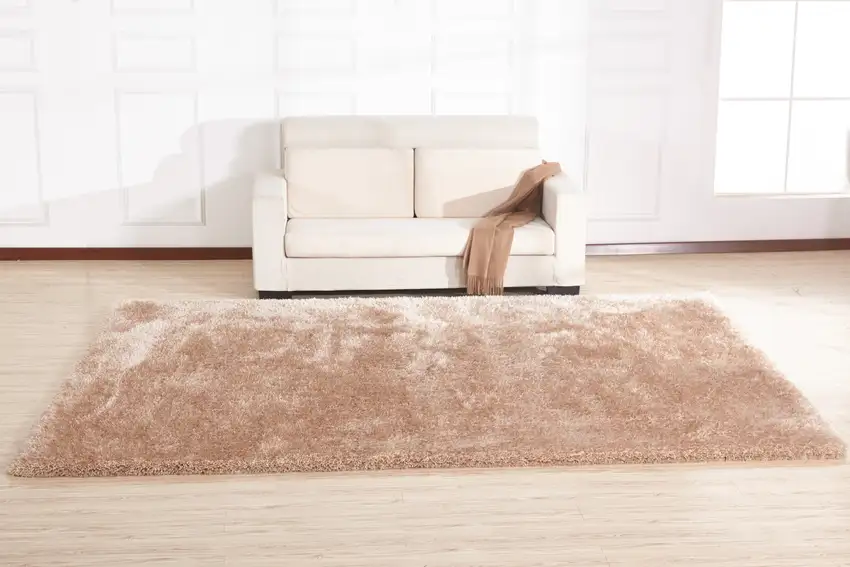 Beige Shag Hand Tufted Area Rug Photo 5