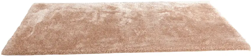 Beige Shag Hand Tufted Area Rug Photo 2