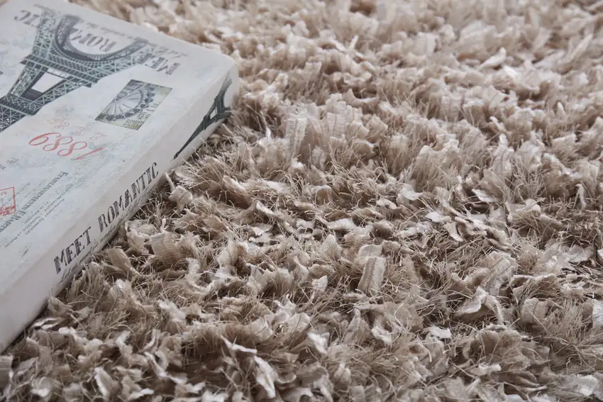 Beige Shag Hand Tufted Area Rug Photo 5