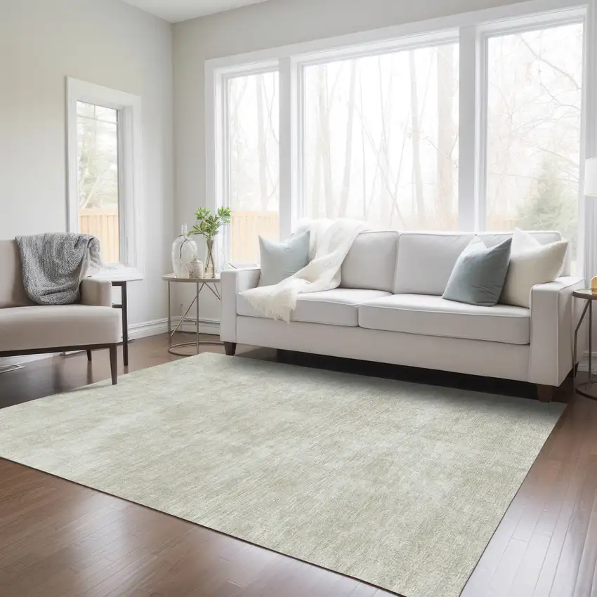 Beige Washable Indoor Outdoor Area Rug Photo 9