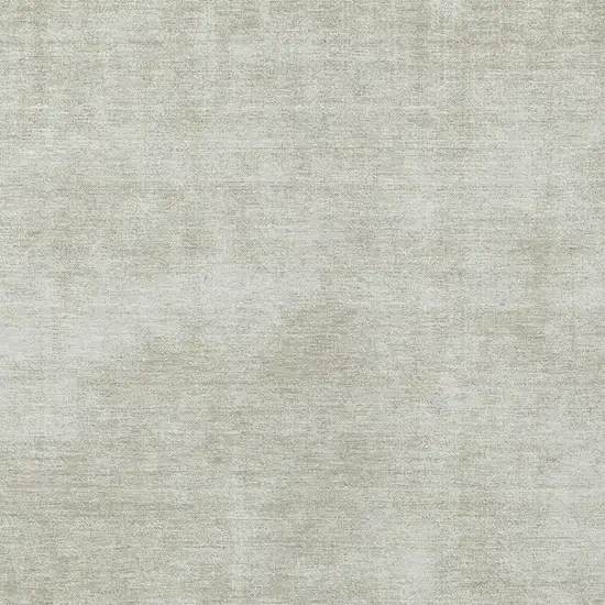 Beige Washable Indoor Outdoor Area Rug Photo 5