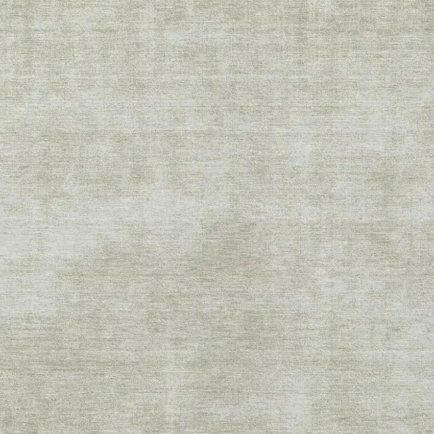 Beige Washable Indoor Outdoor Area Rug Photo 5