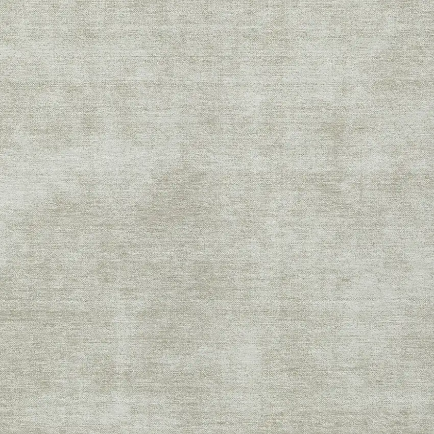 Beige Washable Indoor Outdoor Area Rug Photo 5