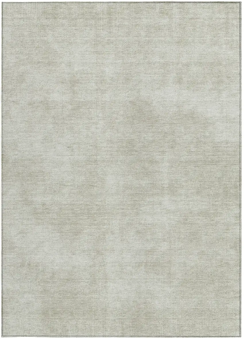 Beige Washable Indoor Outdoor Area Rug Photo 6