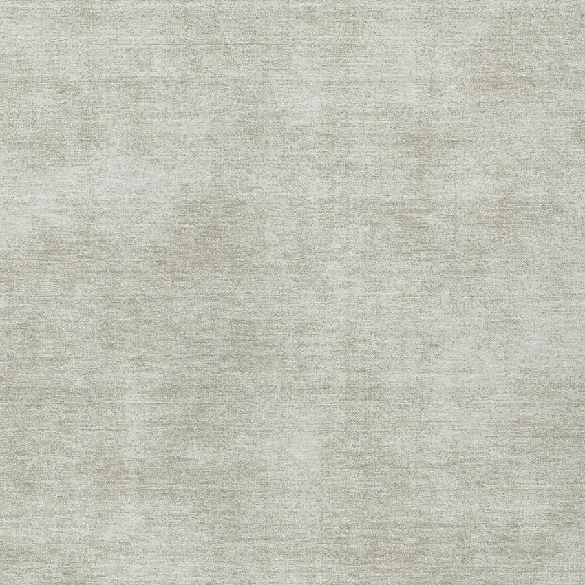 Beige Washable Indoor Outdoor Area Rug Photo 5