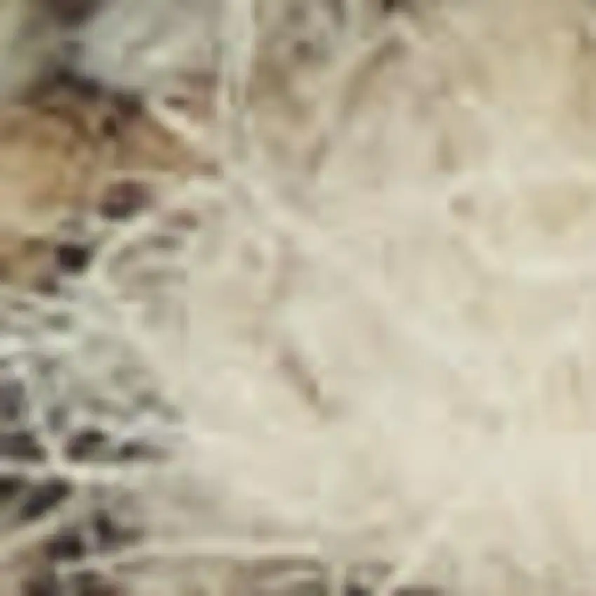 Beige Wool Abstract Area Rug Photo 2