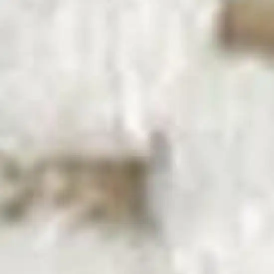 Beige Wool Geometric Area Rug Photo 3