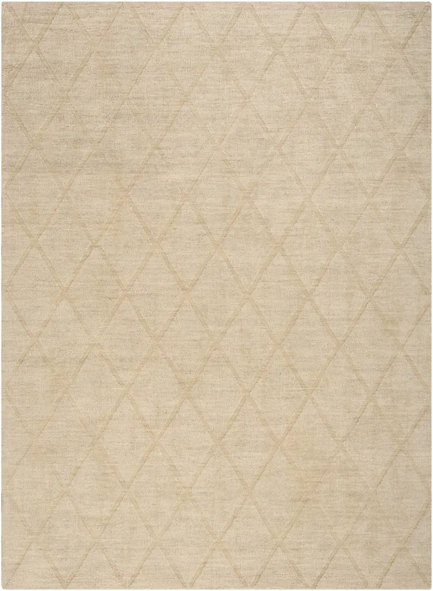 Beige Wool Geometric Area Rug Photo 5