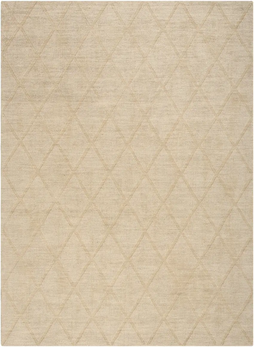 Beige Wool Geometric Area Rug Photo 1